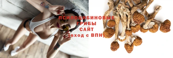 jwh Корсаков
