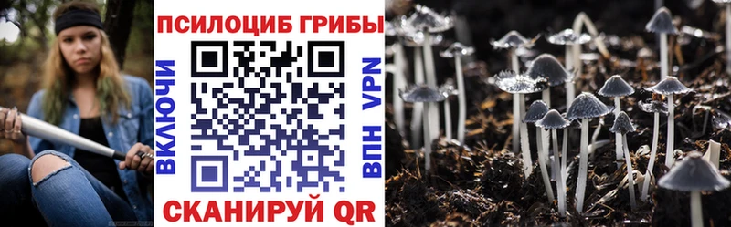 Купить  Элиста  Псилоцибиновые грибы Psilocybine cubensis 